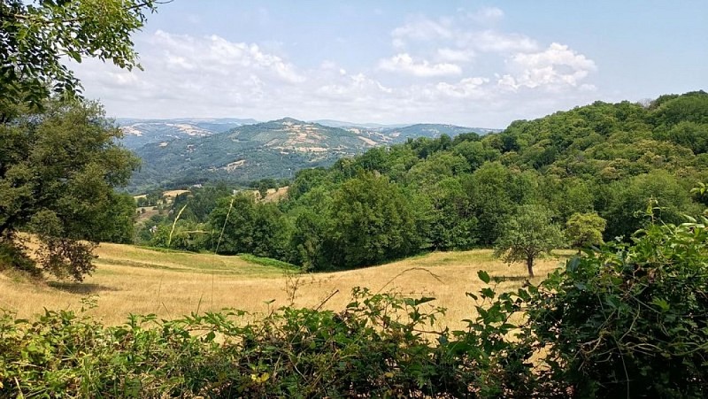 Le puech de Barry