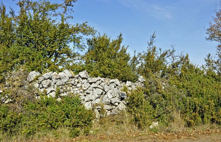 Un clapas (amoncellement de pierres)