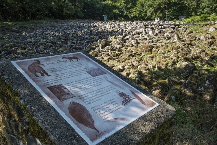 La coulée de lave