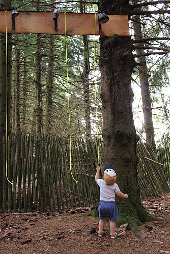 Concerto de sonnailles dans la forêt