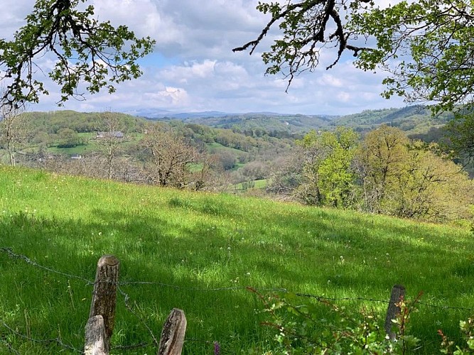 Vue dégagée sur le plomb du Cantal