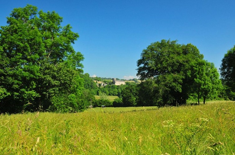 Vue sur le château d'Albinhac