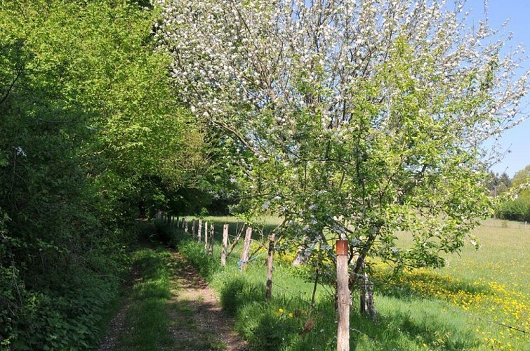 Sentier des forges et des moulins