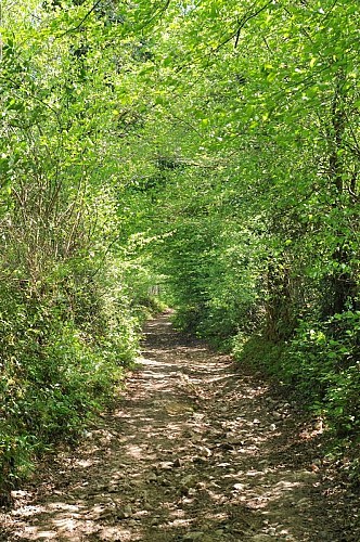 Sentier des forges et des moulins