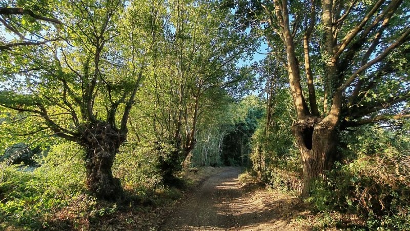 La vallée de l'Huisne à VTT