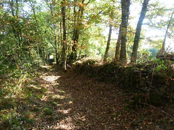 Sentier de la Couze