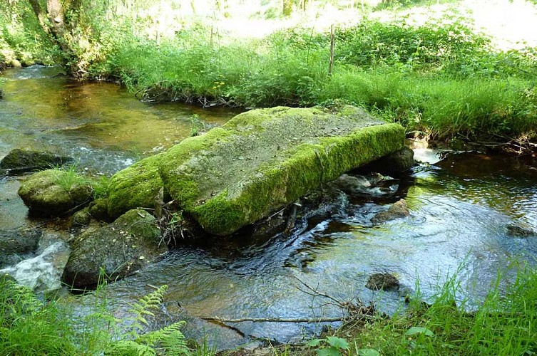 chemin des moines de grandmont en Limousin_2