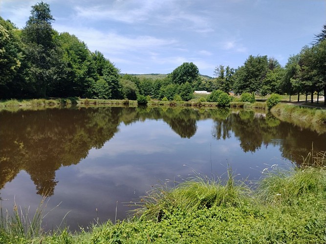 DomaineMuret_Etang