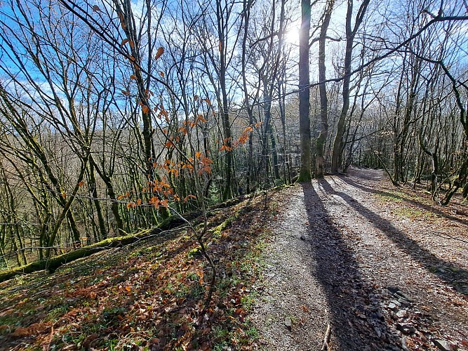 Du lac aus 2 moulins - Viegois © J (2)