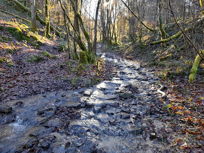 Du Lac aux Deux Moulins - Vigeois ©N.Jumelle - Office de Tourisme Terres de Corrèze (11)