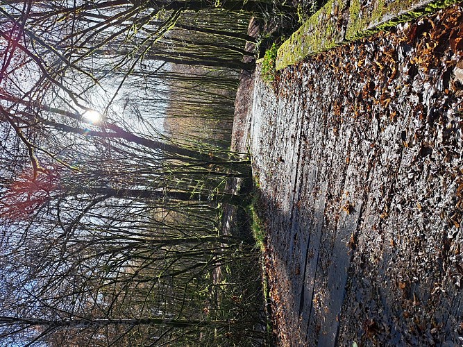 Du lac aus 2 moulins - Viegois © J (9)