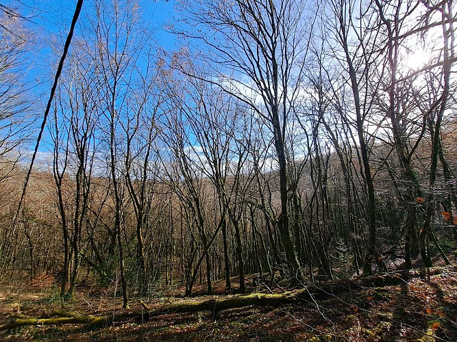 Du lac aus 2 moulins - Viegois © J (4)