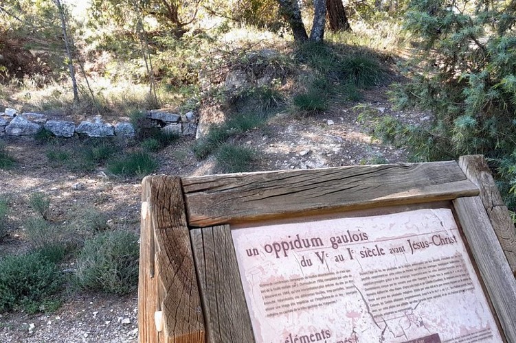 Vestiges de l'oppidum