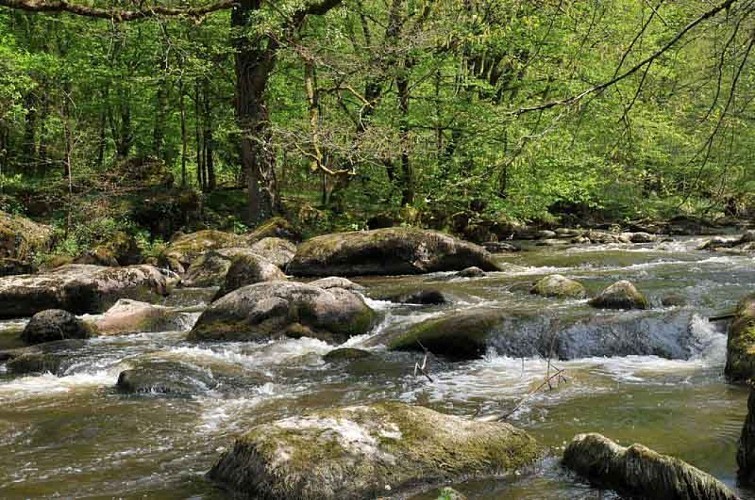 Sentier des feutrières - Saint-Junien 
