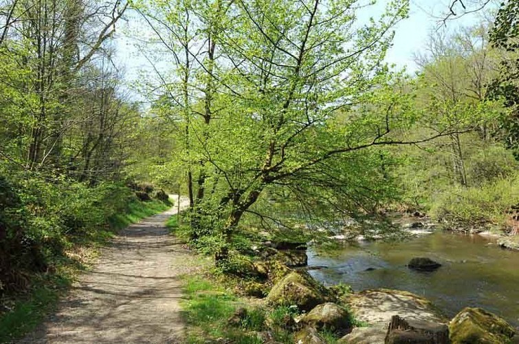 Sentier des feutrières - Saint-Junien 
