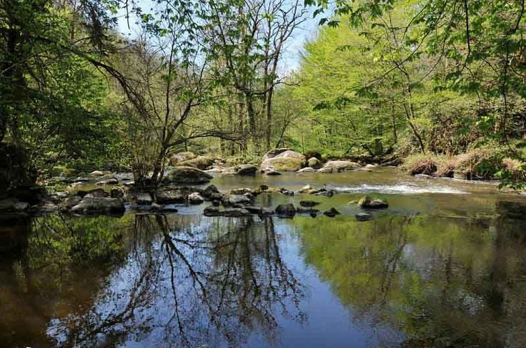 Sentier des feutrières - Saint-Junien 