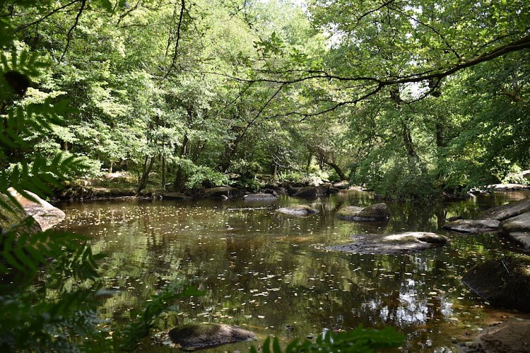 Sentier des feutrières - Saint-Junien 