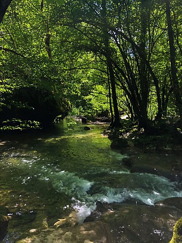 Randonnée Gorges de Thurignin