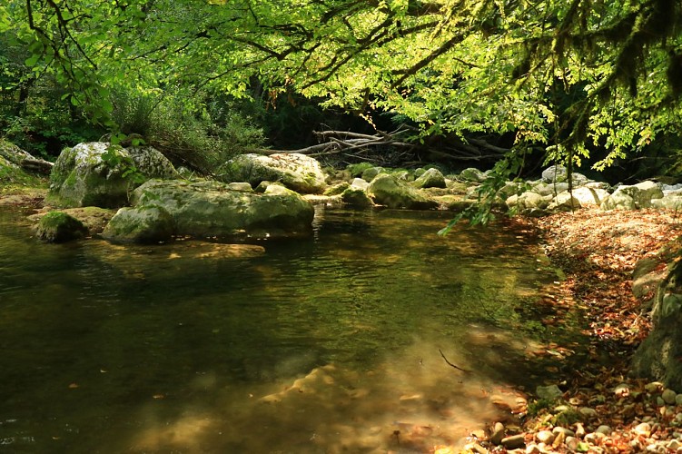 Gorges de Thurignin