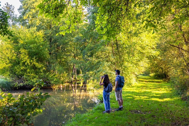 Randonneurs_Marais_des_Rinceaux_Molineuf