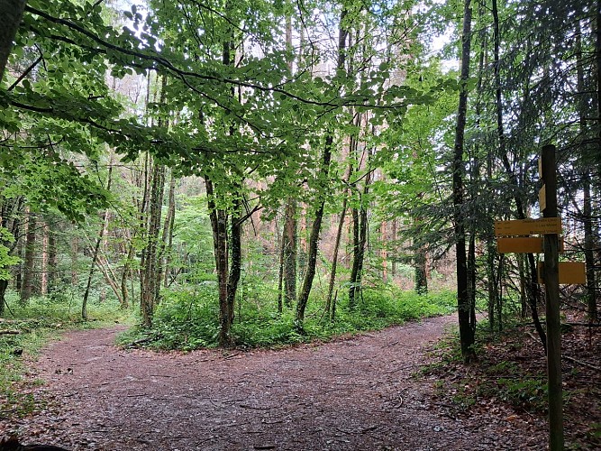 Le Chat Trail_La Chapelle-du-Mont-du-Chat