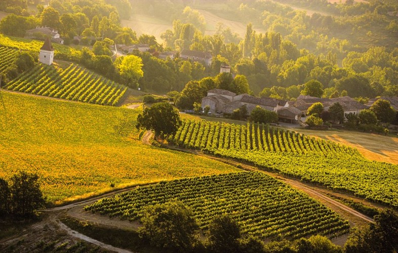Vignoble gaillacois