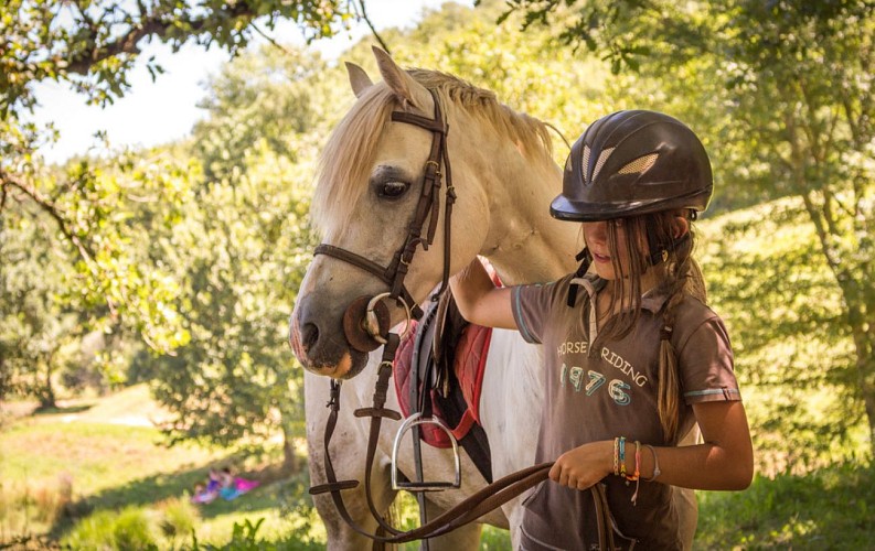 Horse