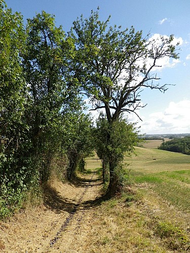 Hike: La Voie Romaine - Lavaur - Puylaurens - Pays de Cocagne - Tarn