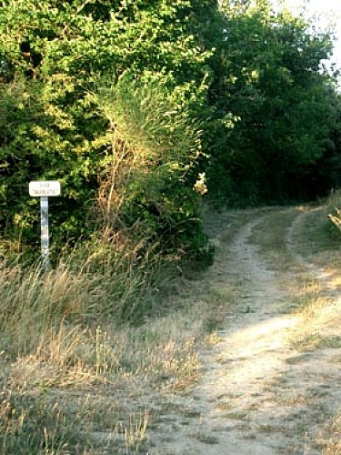 Randonnée La Voie Romaine - Lavaur - Puylaurens - Pays de Cocagne - Tarn