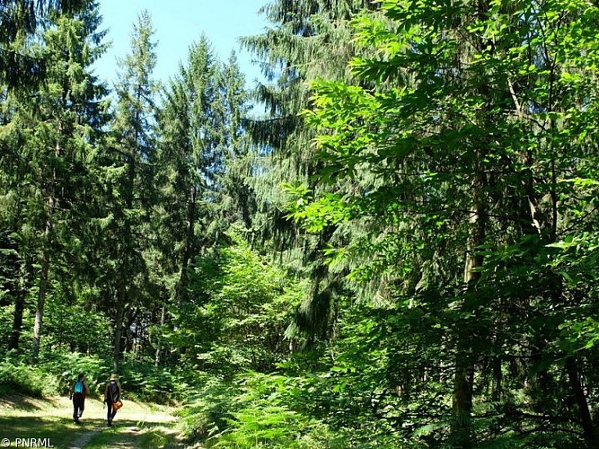Sur les traces des bonnes fontaines du Mont Ceix