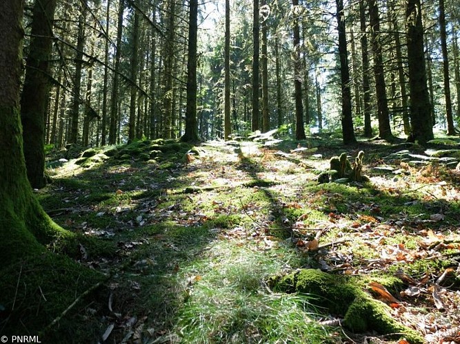 Sur les traces des bonnes fontaines du Mont Ceix