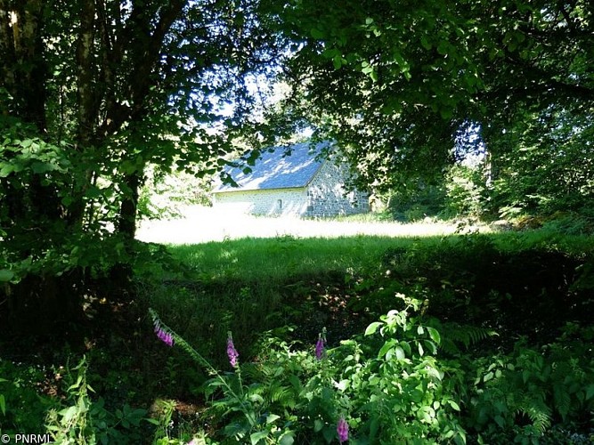 Sur les traces des bonnes fontaines du Mont Ceix
