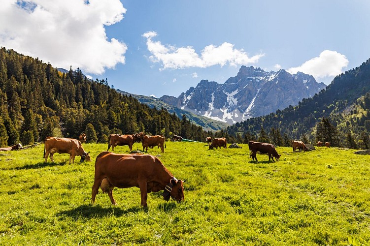B14 - The Altiport mountain pastures_Méribel