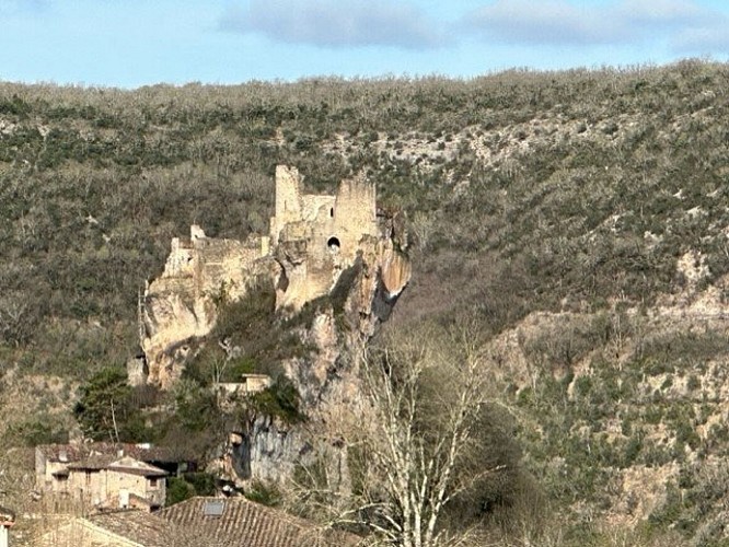 Château de Penne
