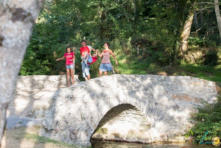Pont en pierre du viau