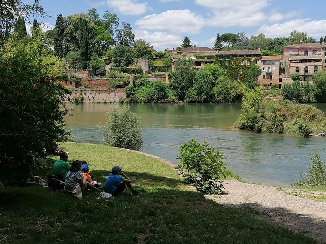 Albi Echappée Verte - Palais de la Berbie