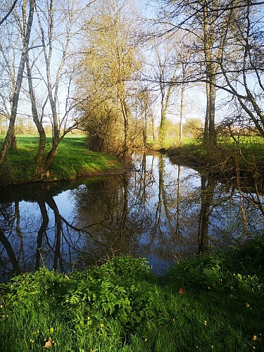 Sentier des Moulins des Bois (variante)  - Sainte Cécile