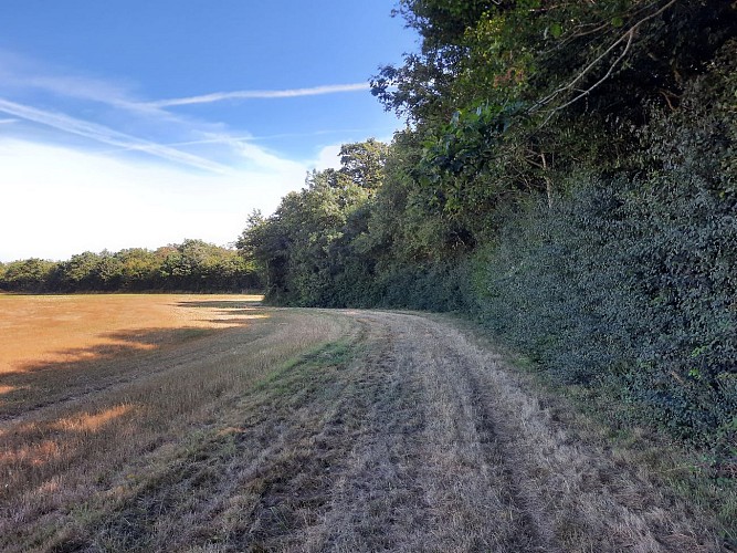 Sentier de la Légerie - Saint Prouant