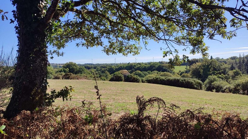 Fenêtre sur le paysage vallonné