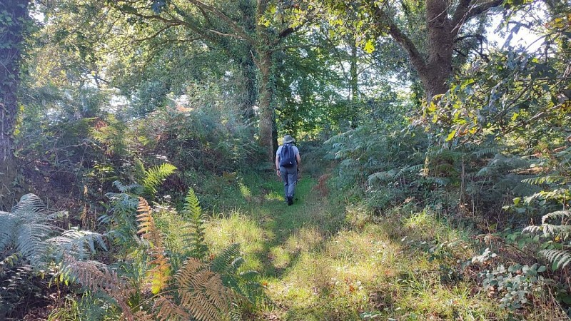 en chemin