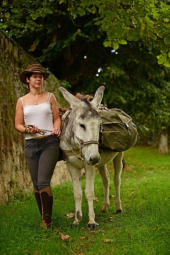 Randonnee avec un âne