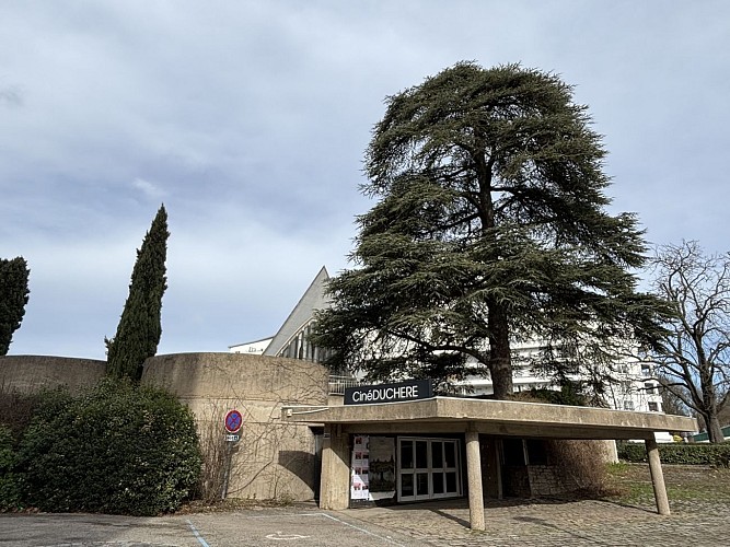 Lyon 9, La Duchère, une colline étonnante