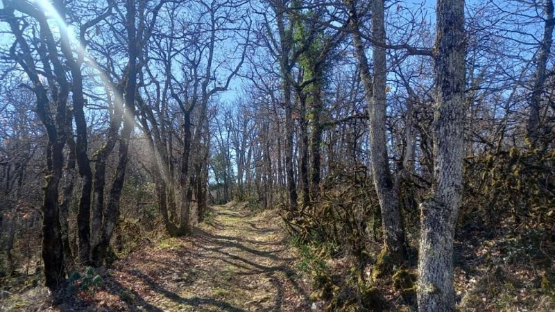 MTB route no.25 Le Bonnan