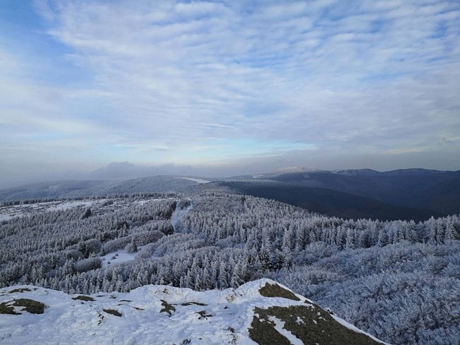 Les balcons de la vallée du Thoré - Trail