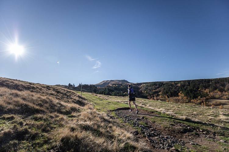 The Sancy Ouest - Chastreix loop (from Le Mont-Dore / 37.5 Km)