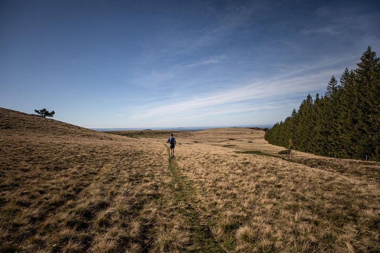 The Sancy Ouest - Chastreix loop (from Le Mont-Dore / 37.5 Km)