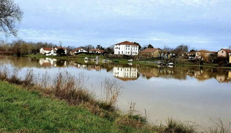 Les bords de l'Adour autour du Seignanx