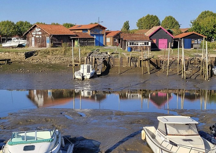 Piste cyclable du Teich au départ de Arcachon