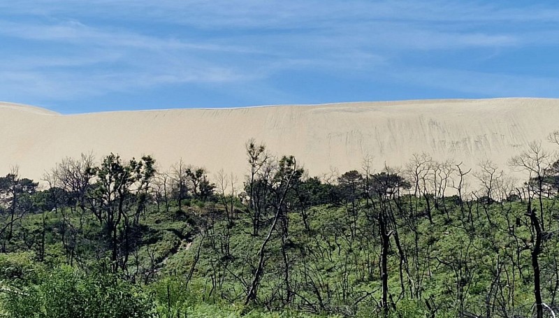 Arcachon et la Teste de Buch en passant par la réserve naturelle du Banc d'Arguin