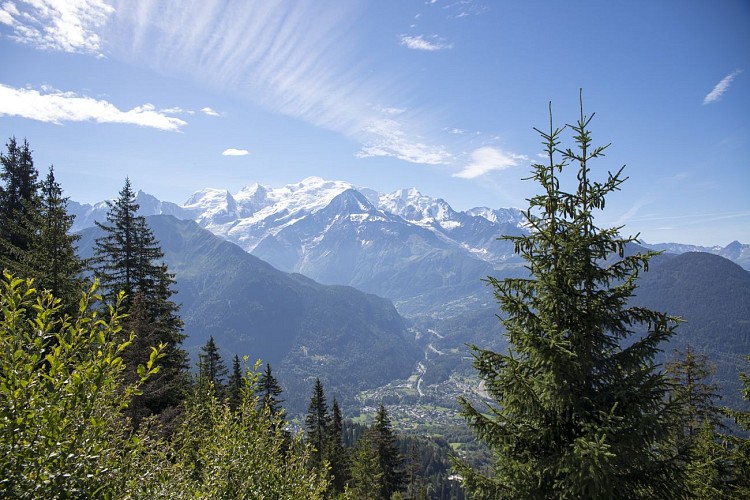 Vue Mont Blanc